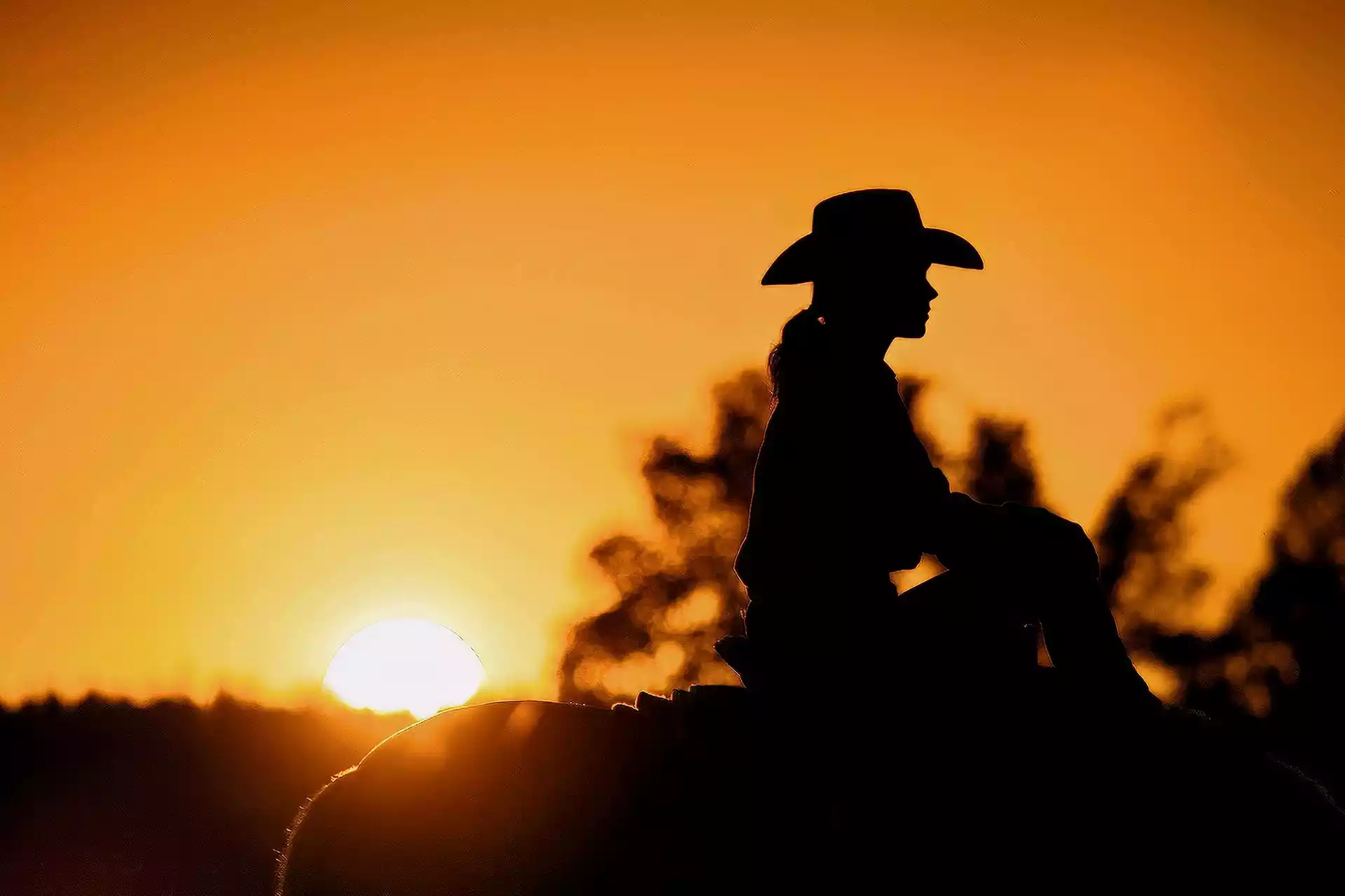 Westernhüte finden man bei Hut-Factory.com