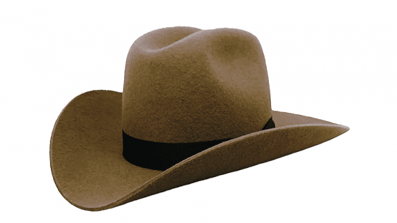 Westernhut Rodeo in Ocker