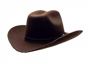 Westernhut Rodeo Braun Mit Lederhutband