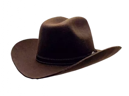 Westernhut Rodeo Braun Mit Lederhutband