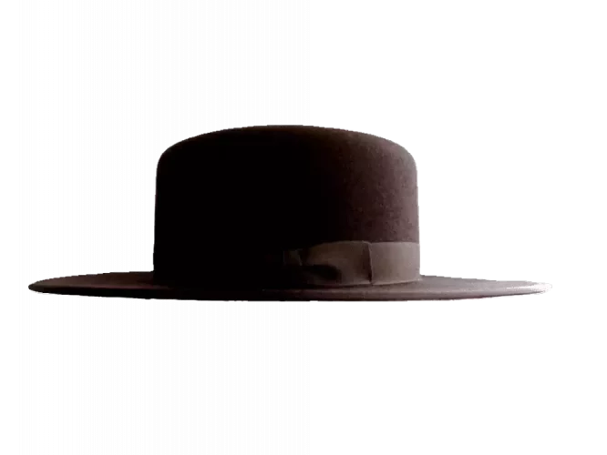 Boss of the Plain Westernhut
