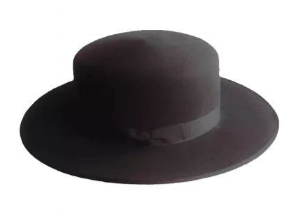 Boss of the Plain Westernhut