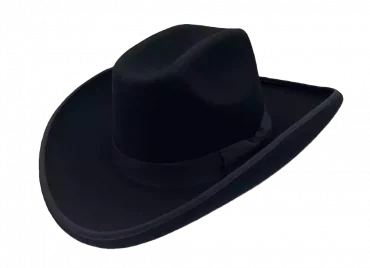 Westernhut Sonora